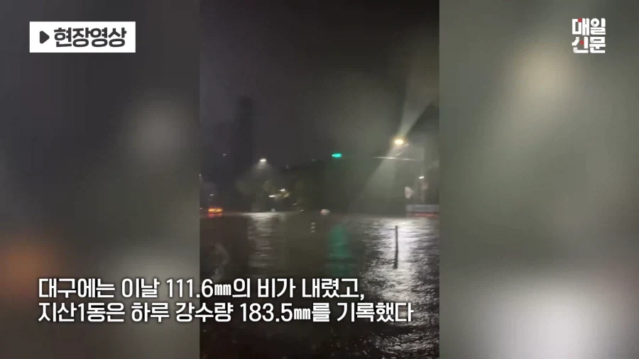 밤사이 대구, 경북에 비 엄청 왔네..._3.webp