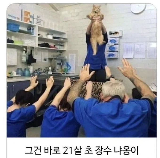 아이러니한 의약품의 세계 대표 이미지