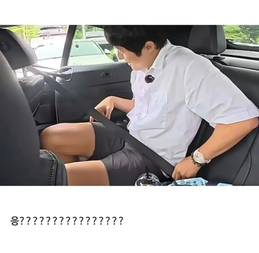기안84식 안전벨트 매보기_3.webp