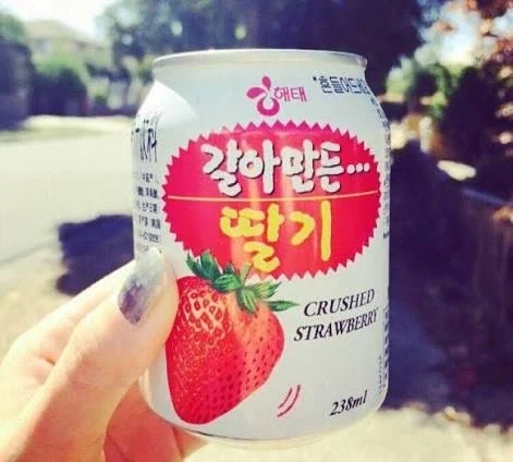 사실 해태 갈배 음료는 본가가 아니였음_3.webp