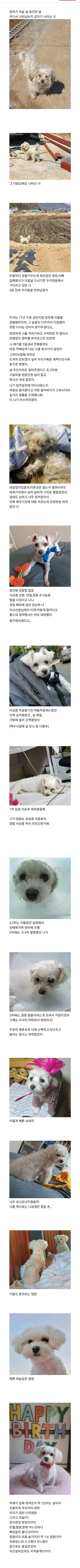 스타워즈) 의외로 그닥 사악하지 않았던 놈 이미지 13
