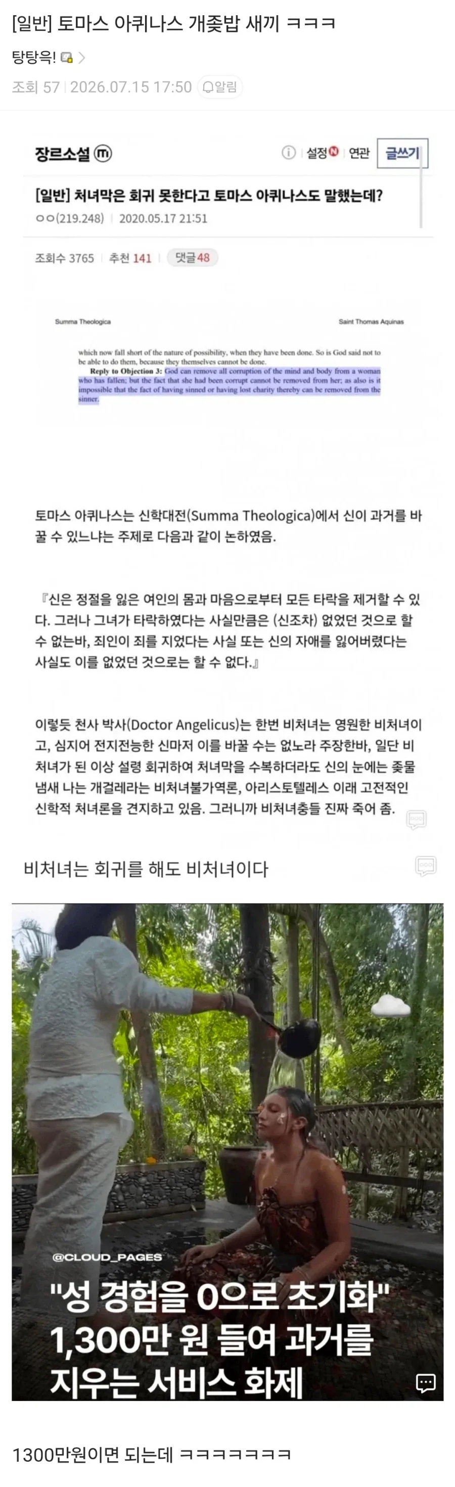 원피스 그 앵무새가 맞다면 원피스의 정체가 진짜 이런거란 말이냐??? 이미지 3
