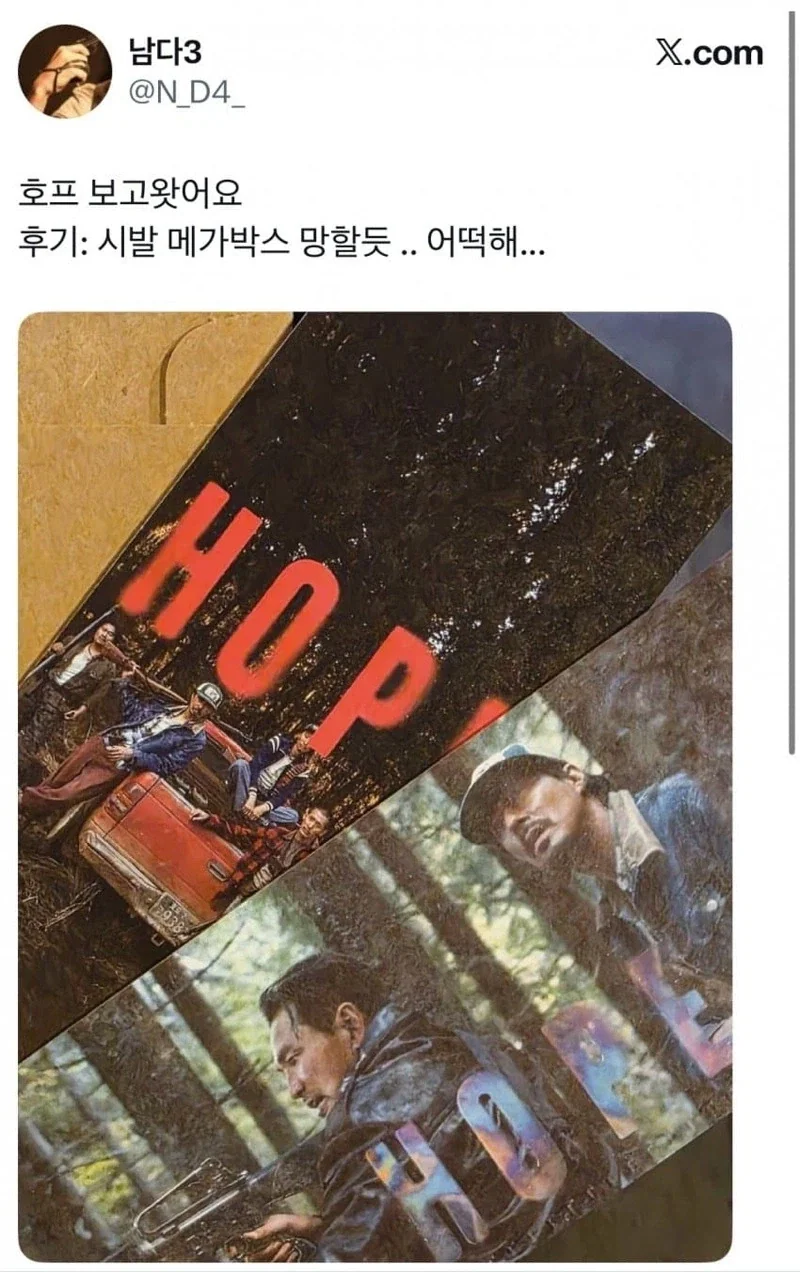 여성 방송인 "길고양이 너무 부둥거리는 거 안 좋아해" 이미지 18