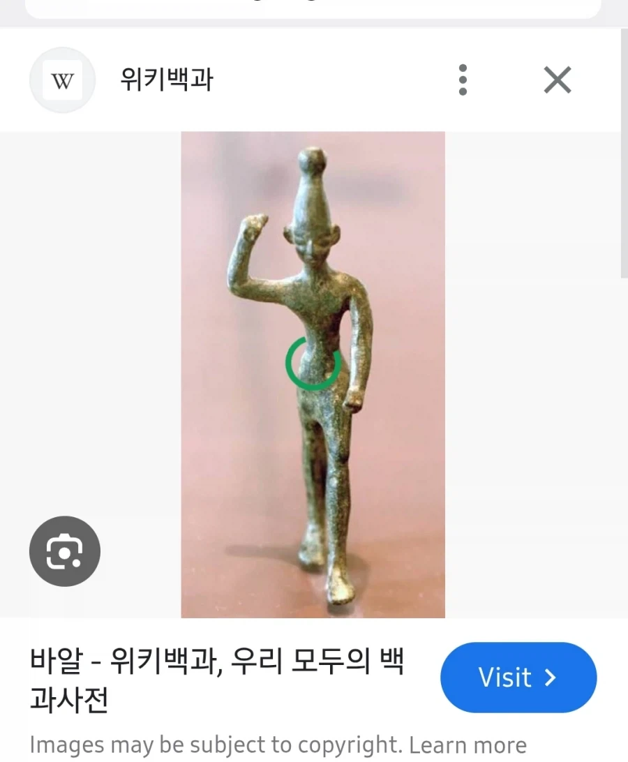 여성 방송인 "길고양이 너무 부둥거리는 거 안 좋아해" 이미지 15