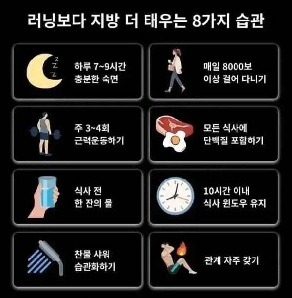 버스 기사: 전속전진이다! 이미지 6