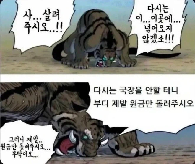 여성 방송인 "길고양이 너무 부둥거리는 거 안 좋아해" 이미지 20