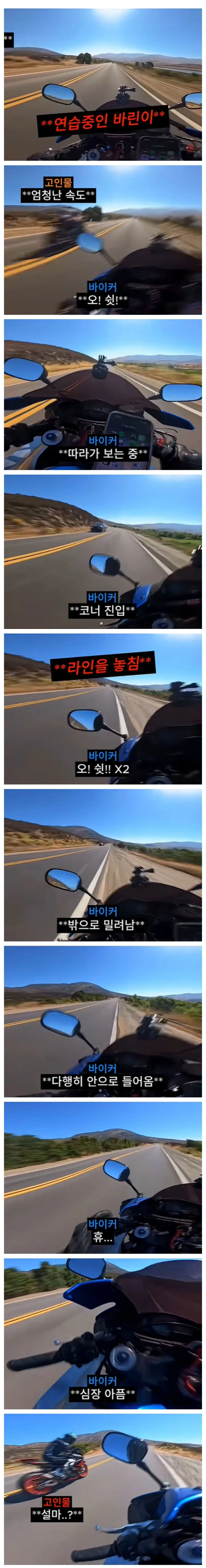 여성 방송인 "길고양이 너무 부둥거리는 거 안 좋아해" 이미지 12