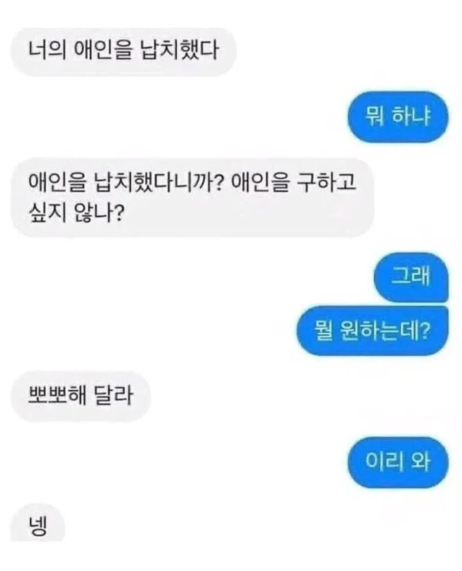 여성 방송인 "길고양이 너무 부둥거리는 거 안 좋아해" 이미지 11