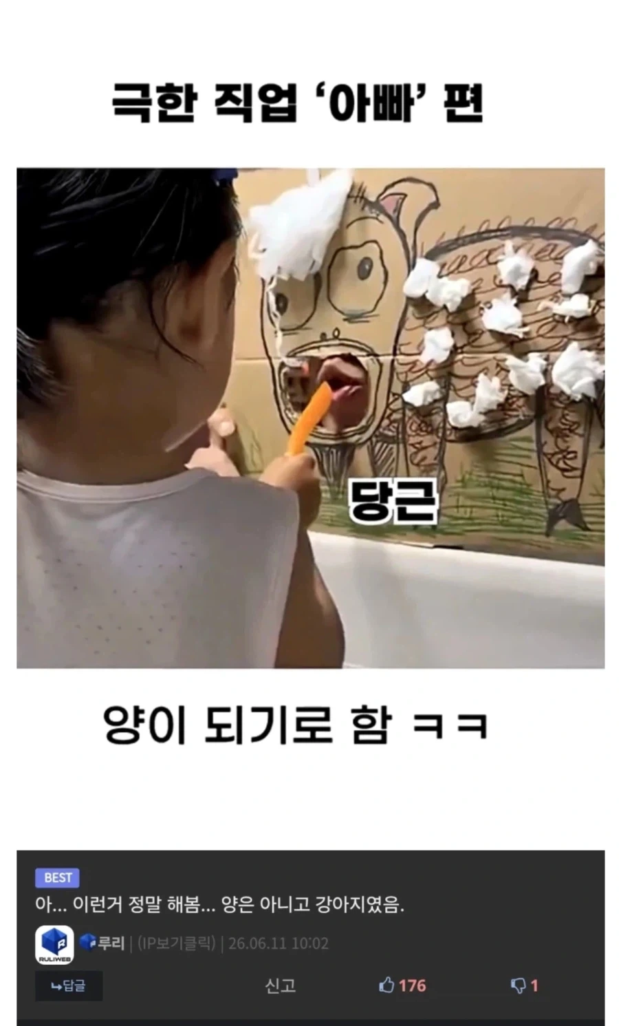 원피스 그 앵무새가 맞다면 원피스의 정체가 진짜 이런거란 말이냐??? 이미지 19