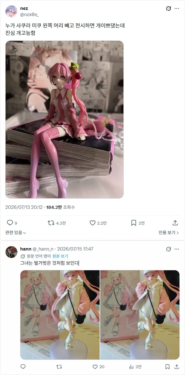 원피스 그 앵무새가 맞다면 원피스의 정체가 진짜 이런거란 말이냐??? 이미지 14