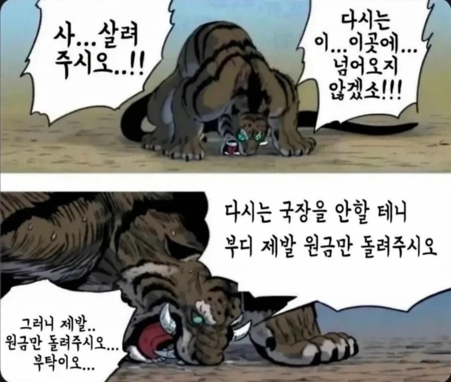 그리스 영웅중 모든 면에서 육각형인 인물.jpg 이미지 10