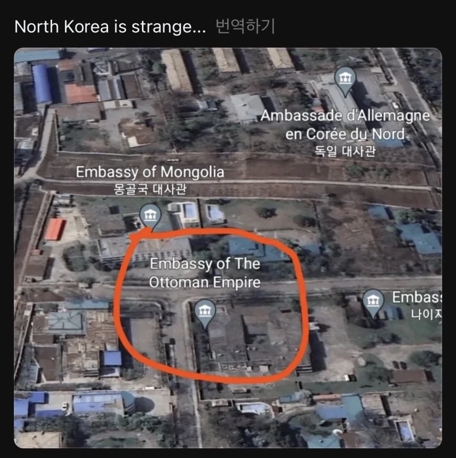원피스 그 앵무새가 맞다면 원피스의 정체가 진짜 이런거란 말이냐??? 대표 이미지