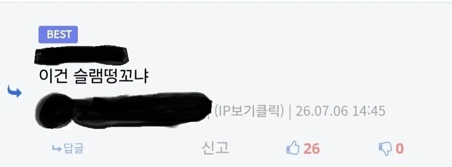 사람새끼가 안보이는 디씨놈들 댓글 꼬라지_2.webp