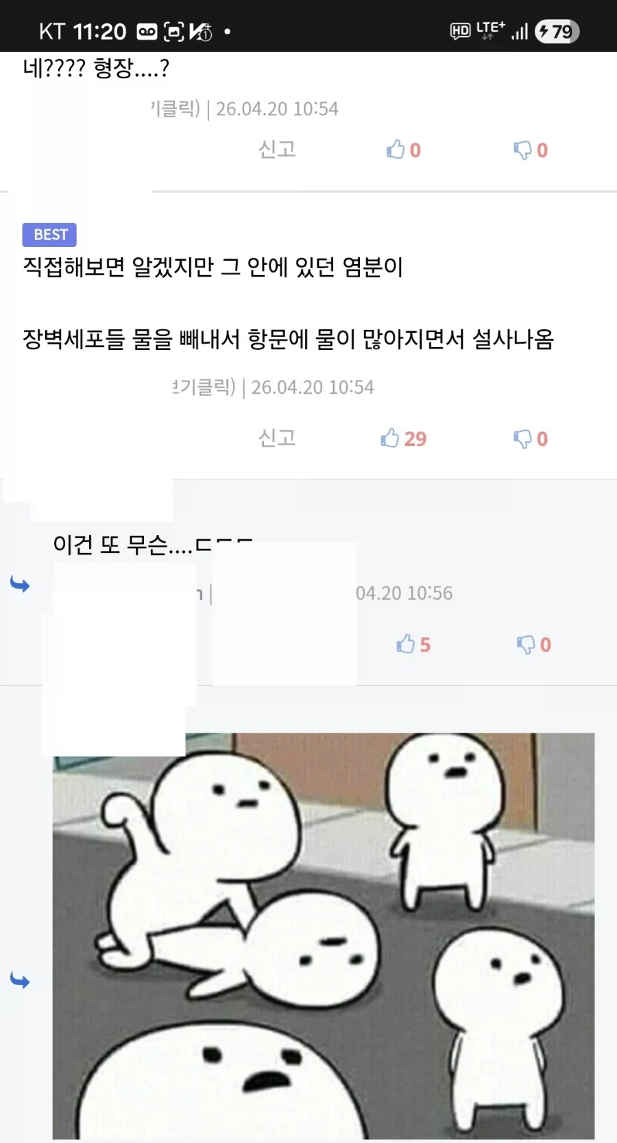 오이에 관한 유용한 지식 하나_2.webp