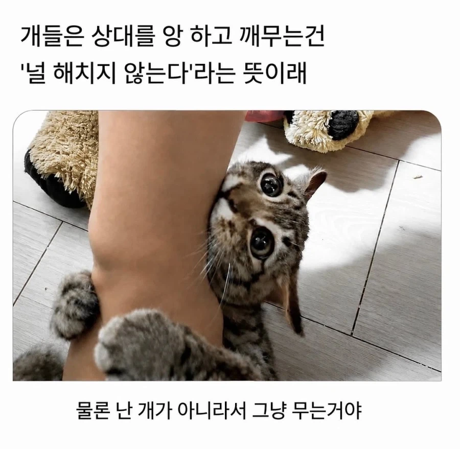 취미 수준으로 돈을 버니까 AI 사용해도 괜찮다는 논리는 굉장히 위험함 이미지 3