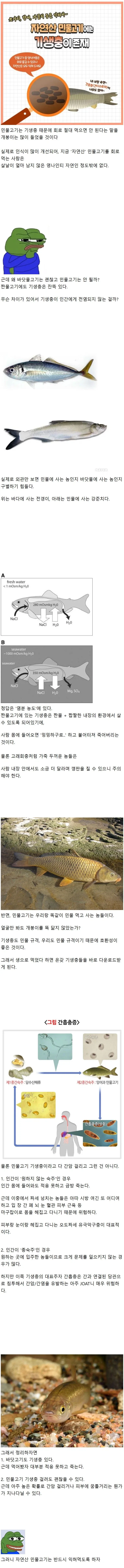 박지성 “자신감을 되찾은 방법”.jpg 대표 이미지