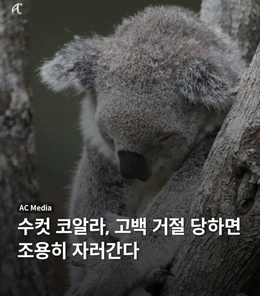 드라마 체르노빌 명장면의 반전 이미지 2