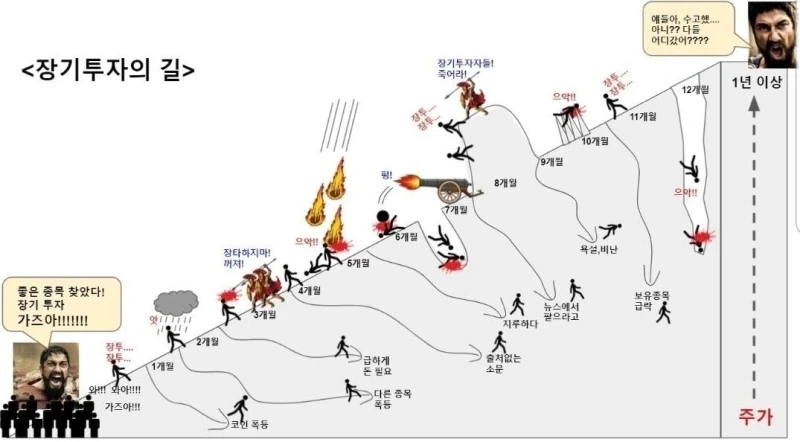 여성 방송인 "길고양이 너무 부둥거리는 거 안 좋아해" 대표 이미지