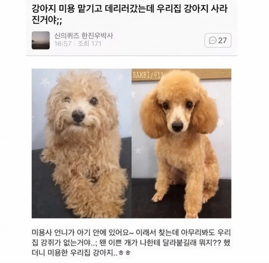 한달식비 10~15만원으로 밥해먹는 사람 이미지 8