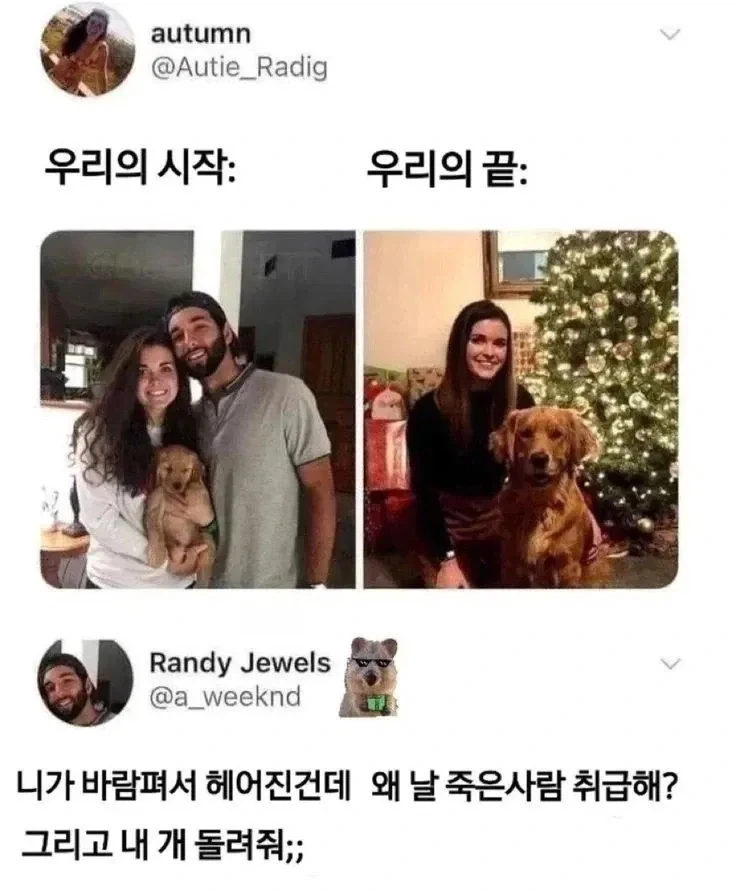 에겐남을 용납 못하는 미 국방부 장관 이미지 4