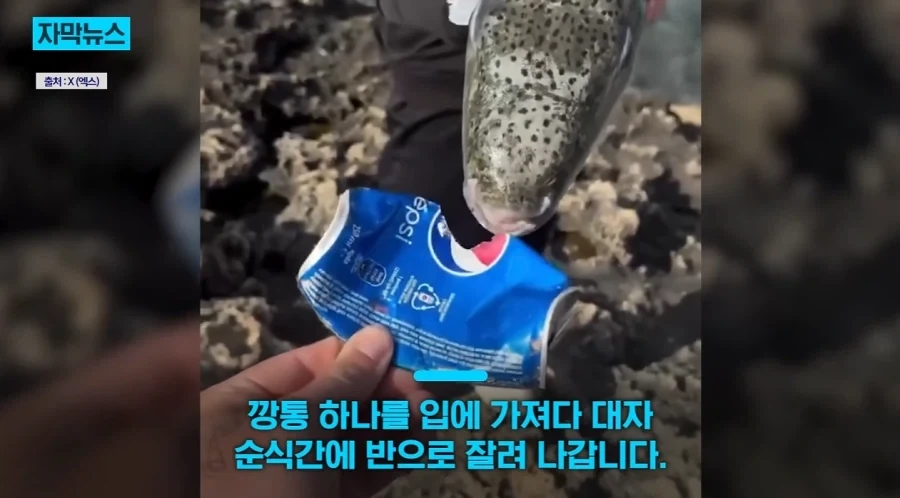 호날두가 받은 DM 이미지 11