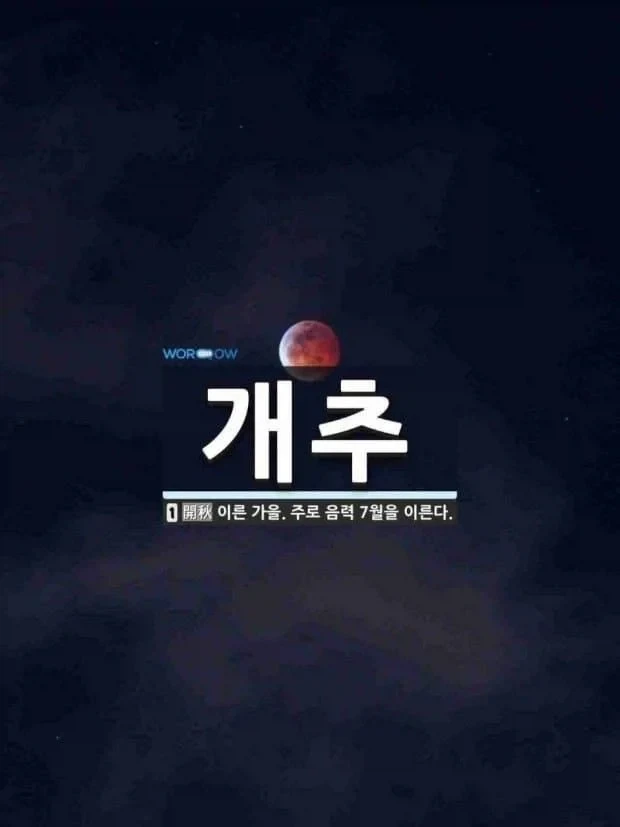 중국 웹소보면 신기한점 이미지 16