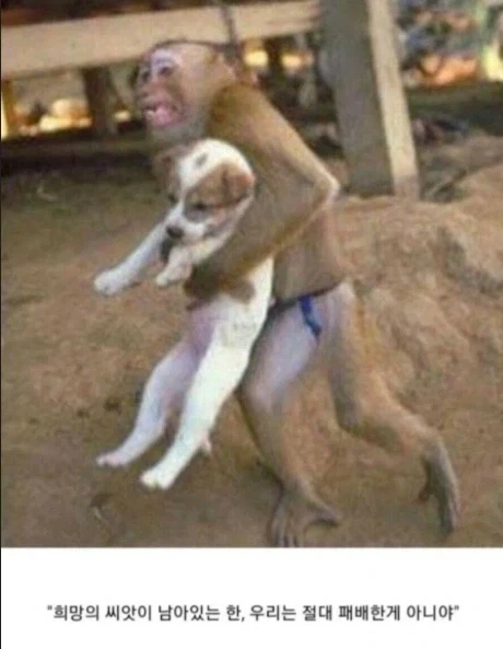 건담)주인공들이 살인을 대하는 태도 대표 이미지