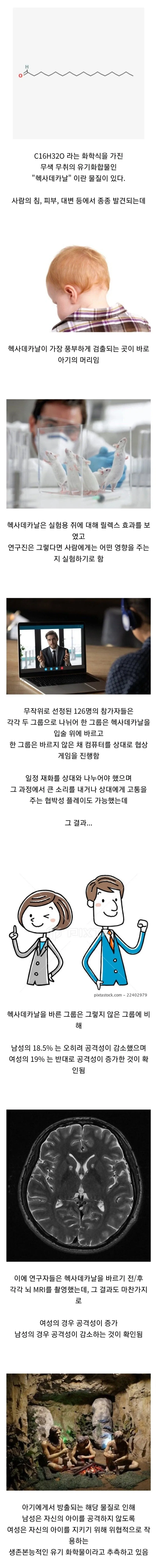 야밤에 보면 좋은거 이미지 4