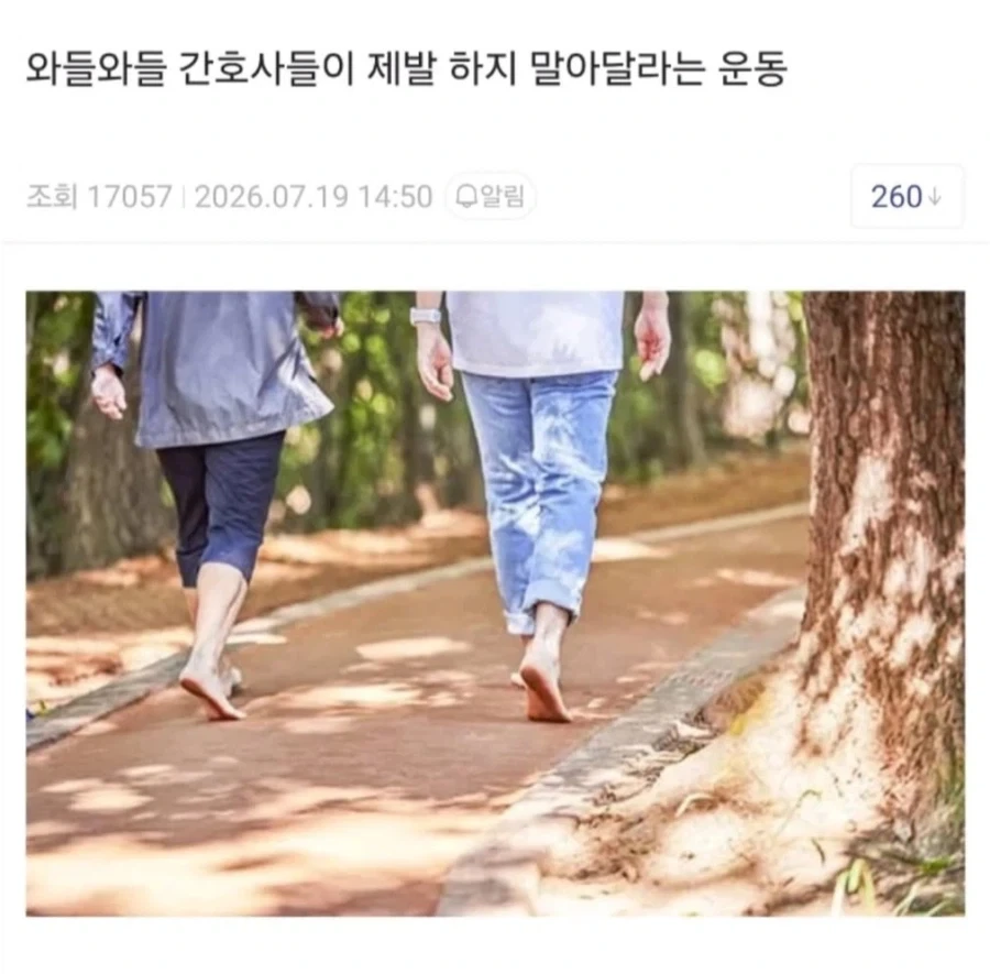 버스 기사: 전속전진이다! 이미지 15