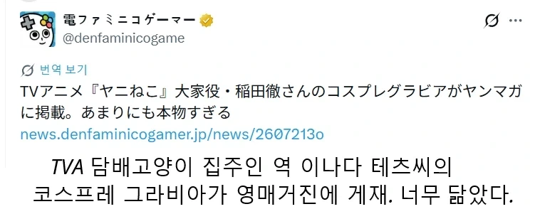 군인들이 행군중 쉴때 먹는 인기 음식 대표 이미지