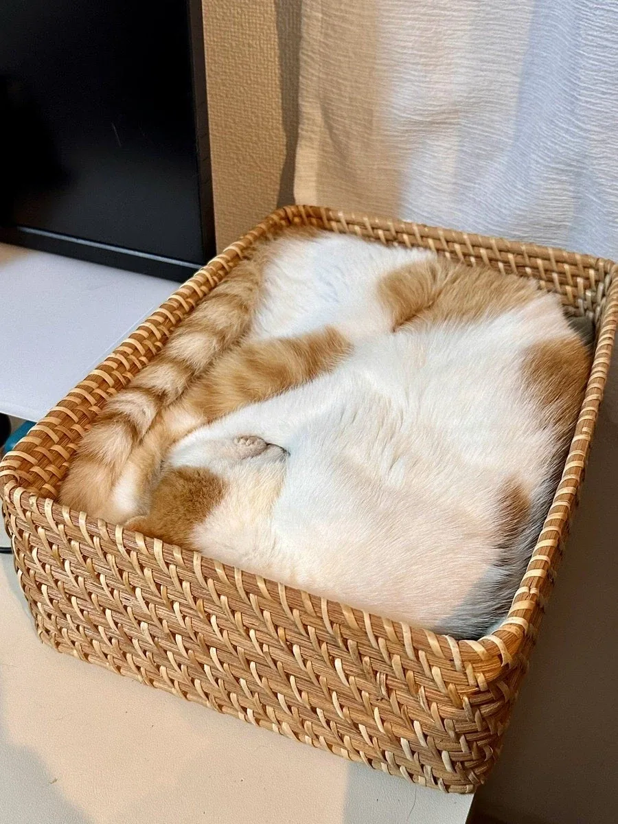 배트맨 한테 거미줄기술 판 파커 이미지 2