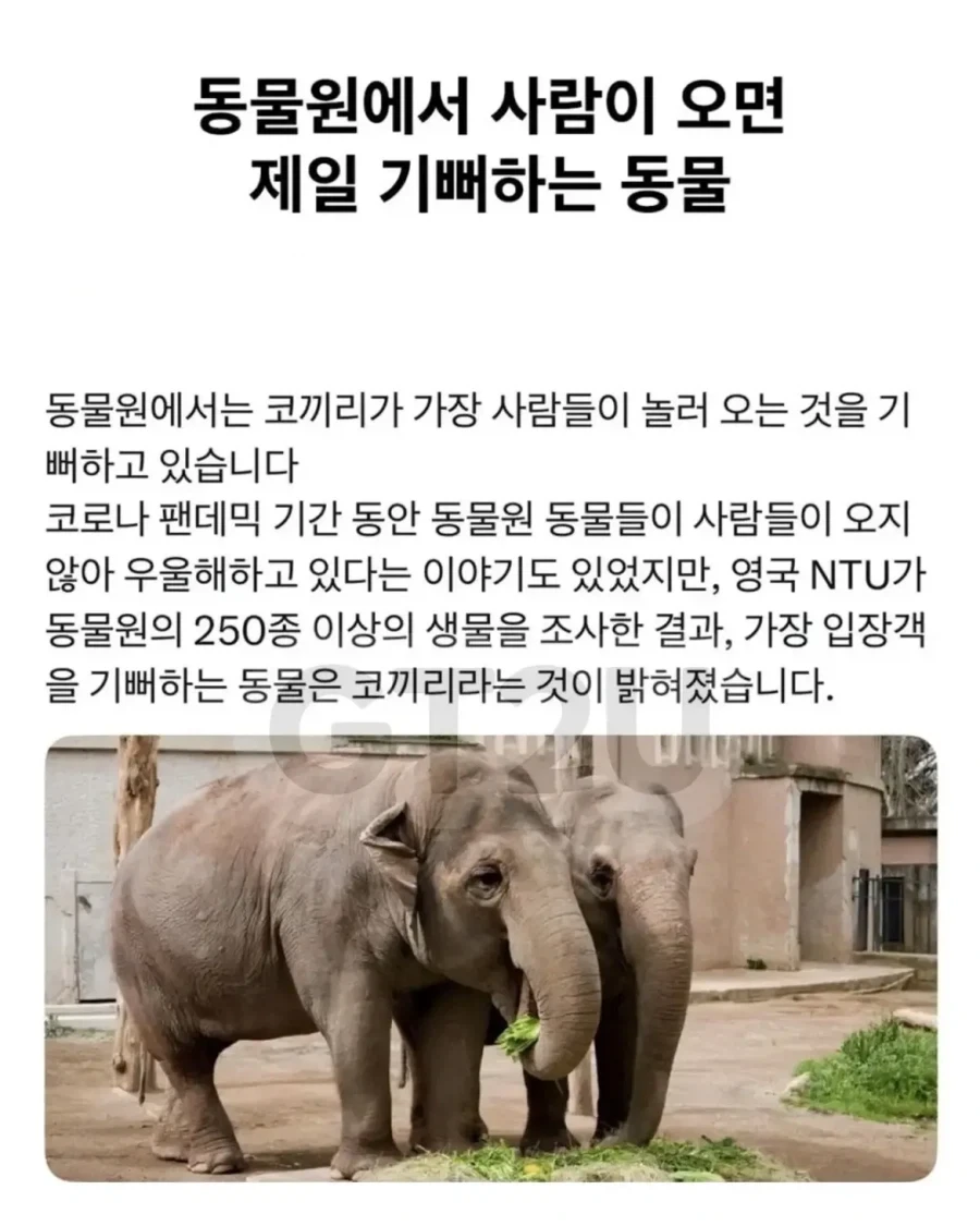 주식) 뭐? 개미들의 몸에 생기가 돌아온다고? 이미지 8