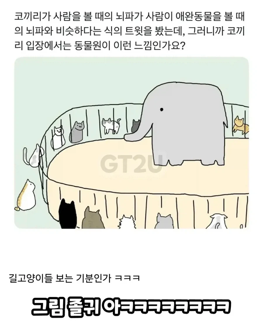 동물원에서 사람 오면 제일 좋아하는 동물_2.webp