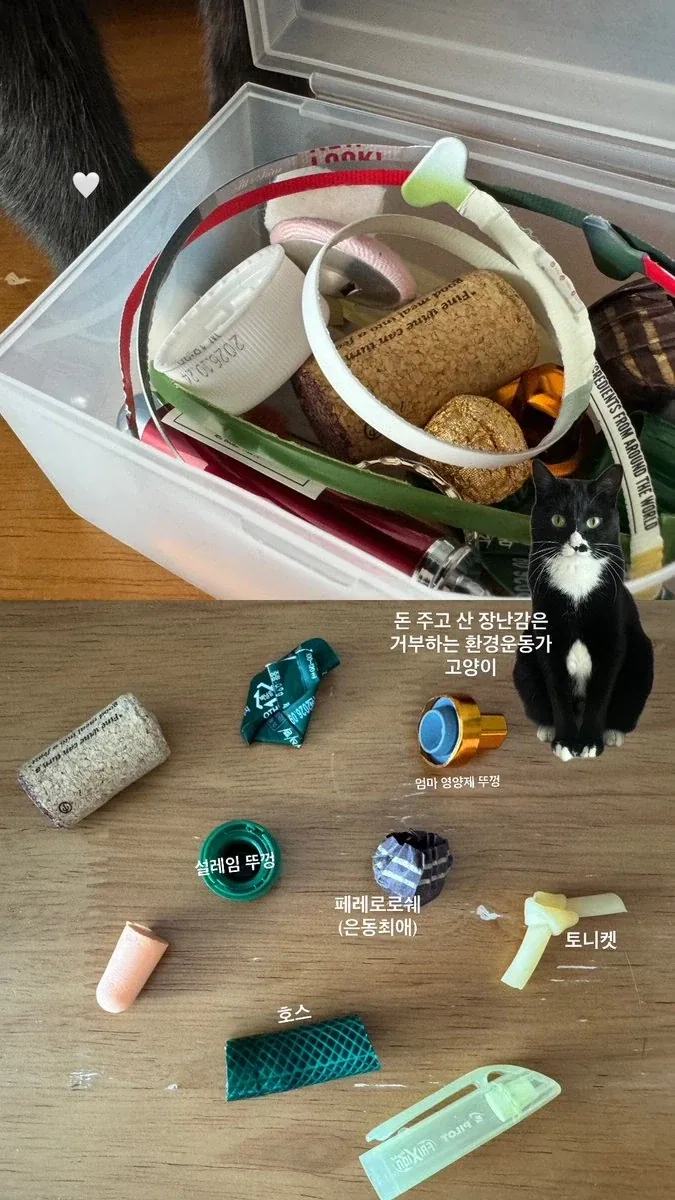 한중일) 근데 참 알게모르게 동북아 삼국정세에 녹아있는... 이미지 3