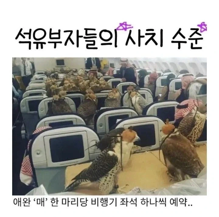 월 400버는 35살 여자의 궁금증 이미지 8