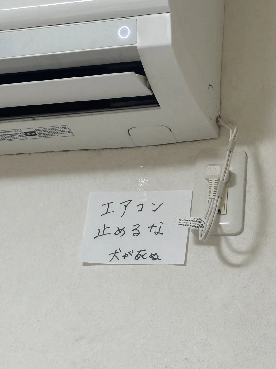 월 400버는 35살 여자의 궁금증 이미지 4