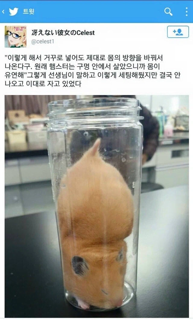 삼국지 -> 초한지 순으로 봤었는데 초한지가 여전히 재밌는 건 이미지 5