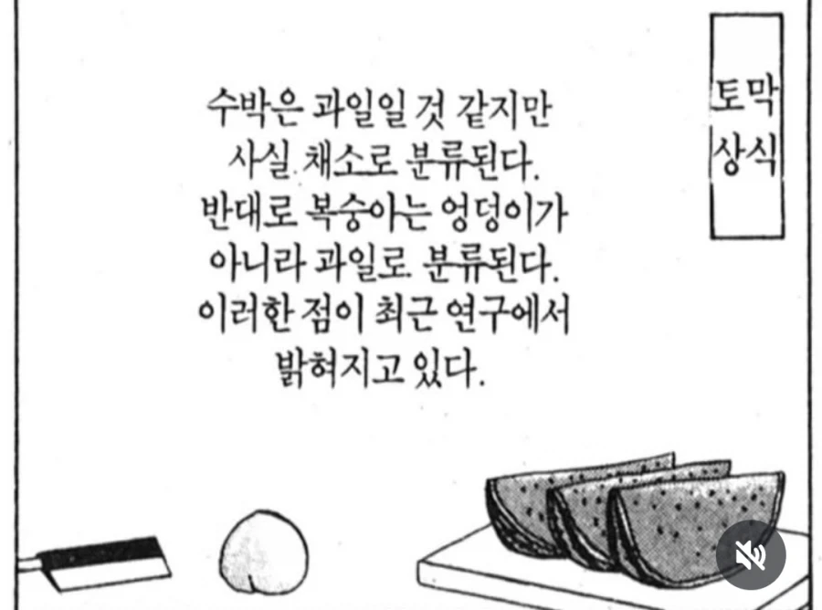 국민연금이 팔아서 폭락했다?.jpg 이미지 11