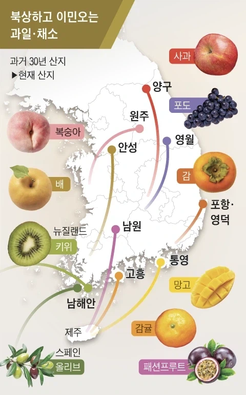 우리가 유럽보고 뭐라할 처지는 아니긴 하지_4.webp