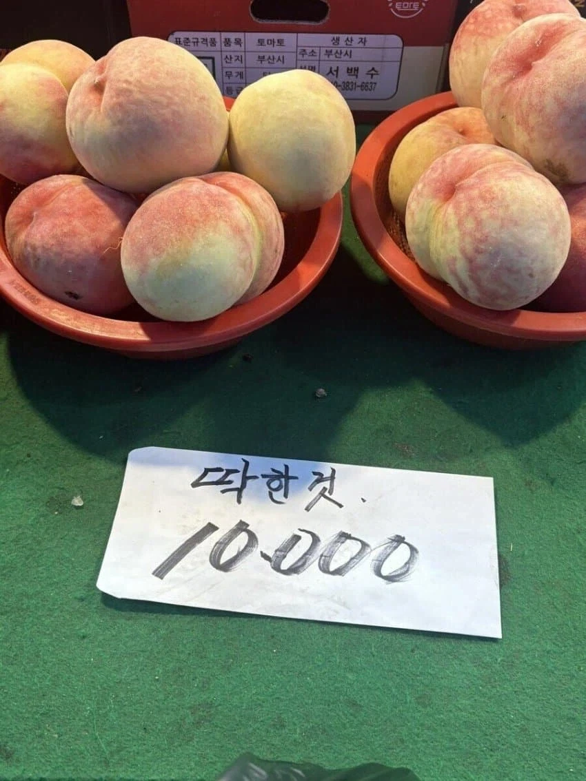 ???:야 죽을 각오로 하면 이 세상 못하는 일 없어 대표 이미지