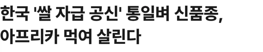 통일벼가 한국에서 문제였던 거_2.webp