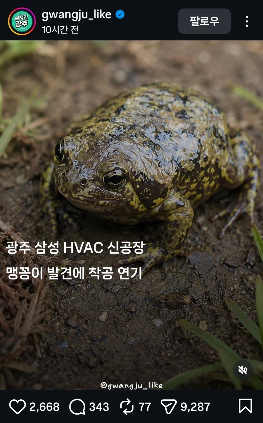 이게 그 원펀맨인가 뭔가냐? 이미지 9