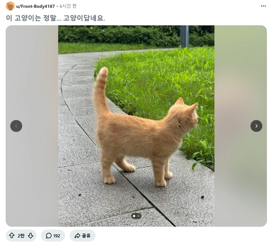 "당신이 하는 비틱질, 누군가에겐 생명입니다." 이미지 9