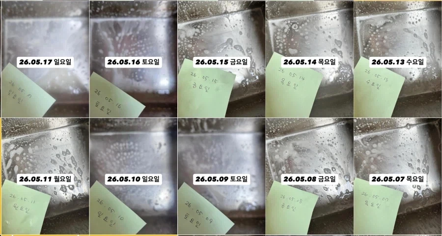 "당신이 하는 비틱질, 누군가에겐 생명입니다." 이미지 8