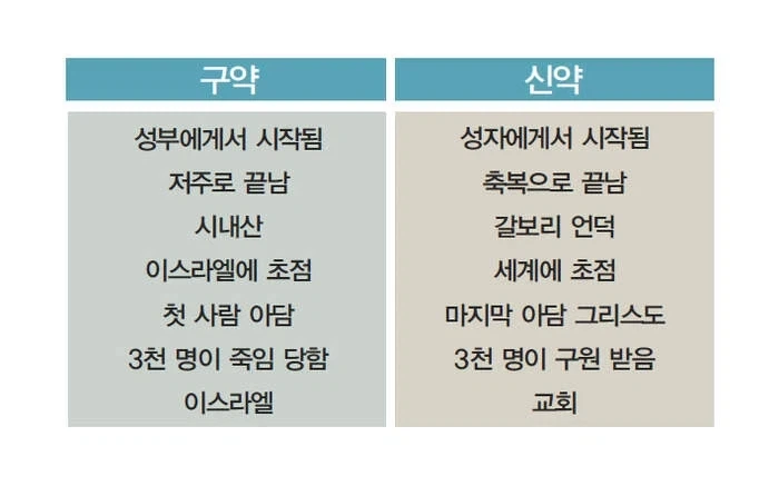 바니걸 vs대결 이미지 2