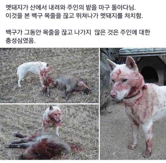 ??? : 손을 안타는게 제일 좋다 대표 이미지