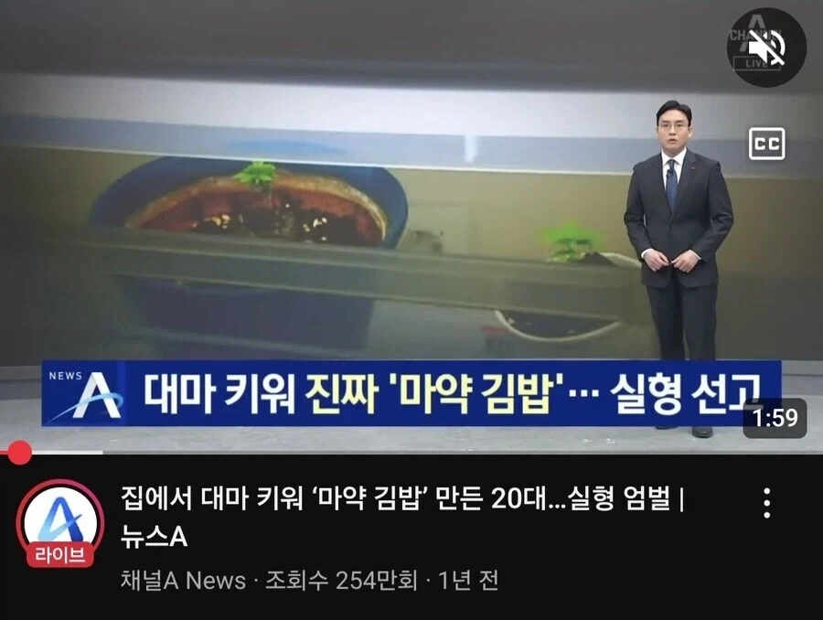 여성의 야스제안에 도덕적으로 거부한 미국인 대표 이미지