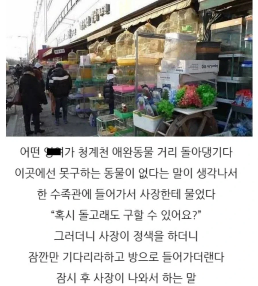 당연히 합체해야하는 사진.jpg 이미지 8