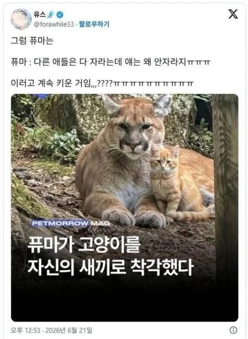누드 촬영지에서 본 인물 대표 이미지