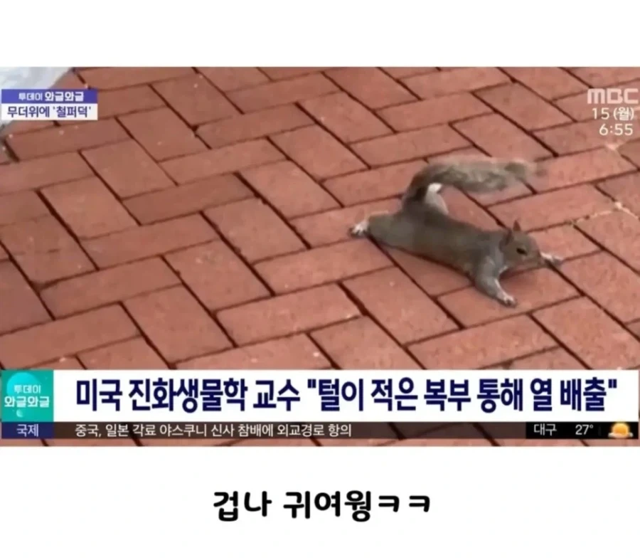 한국이 온난화 감소를 위해 진행중인 눈물나는 노력 이미지 2